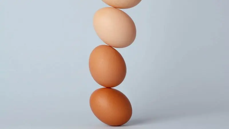 brown and white eggs