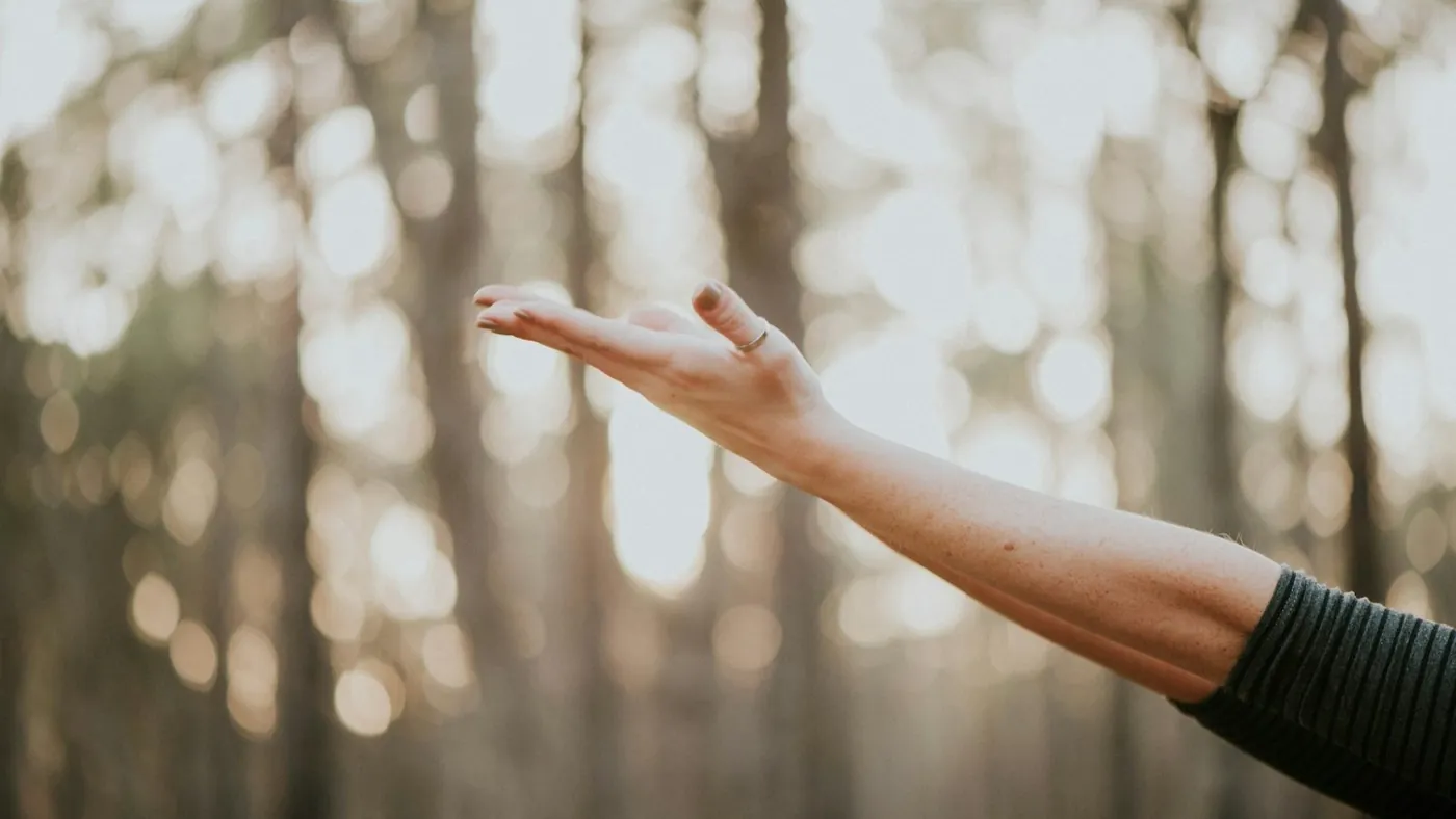 tilt shift lens photography of person lifting hand