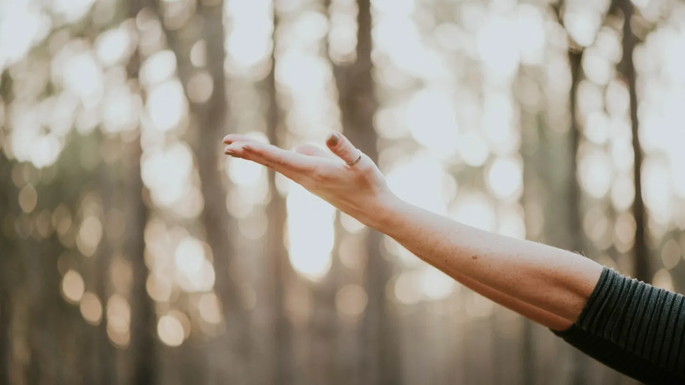 tilt shift lens photography of person lifting hand