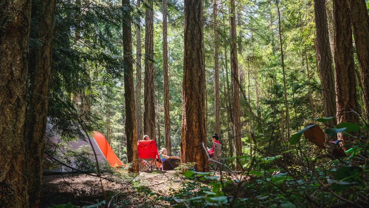 people sitting on ground surrounded by trees during daytime