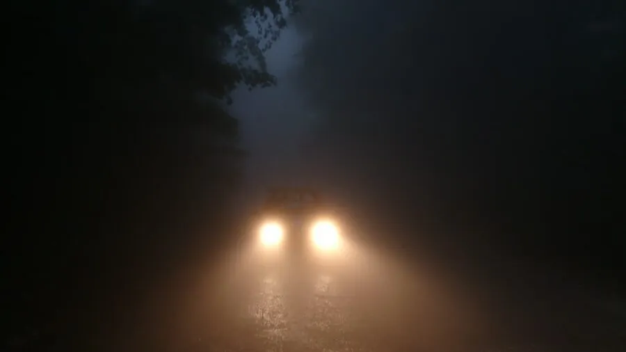 car in the forest