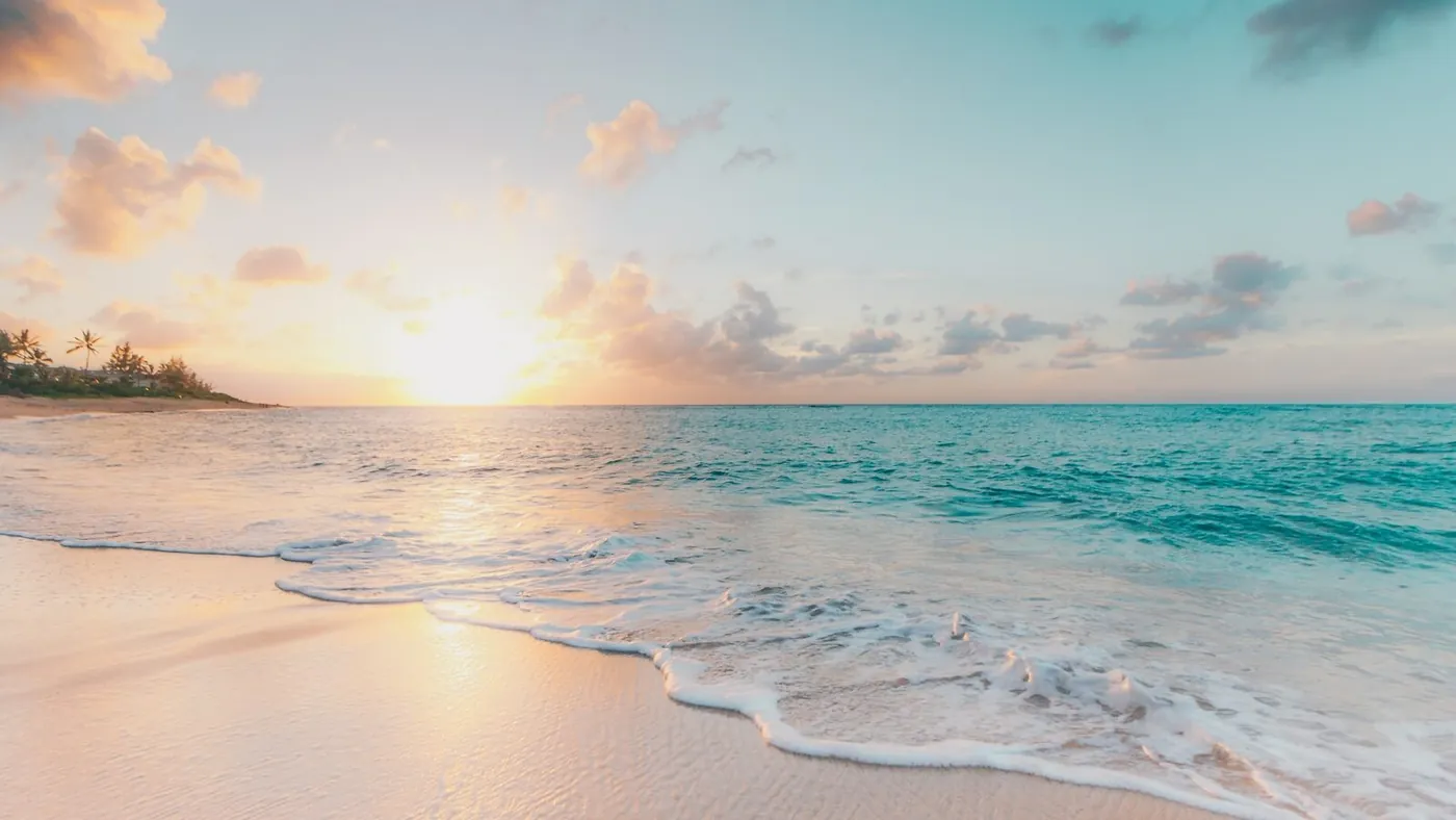 seashore during golden hour