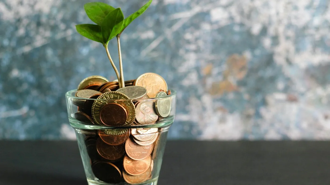 green plant in clear glass vase